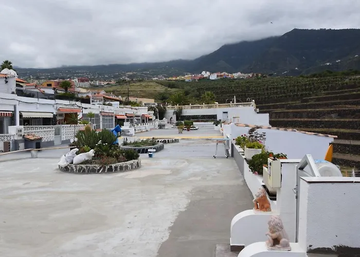 Meerblick-apartment Ula Apartment Los Realejos